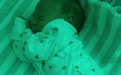 120033355_3072014729692076_3079342968968267878_n